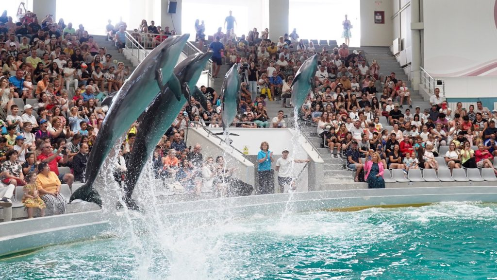 delfinariu